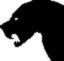 roar_black.jpg