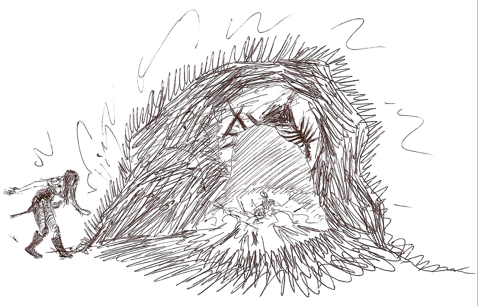 Rosalia cave entrance sketch.jpg