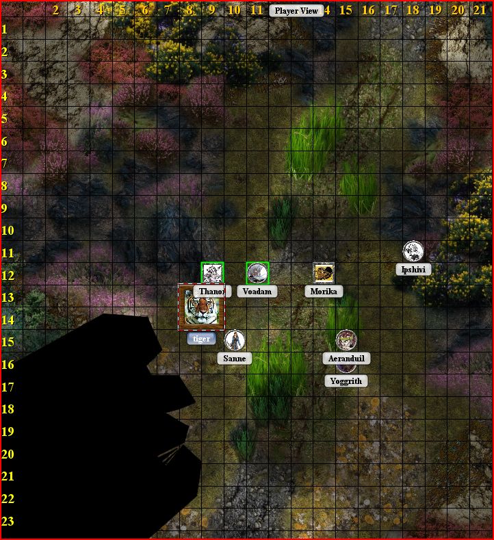 Round 1.JPG