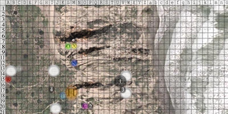 round5.jpg