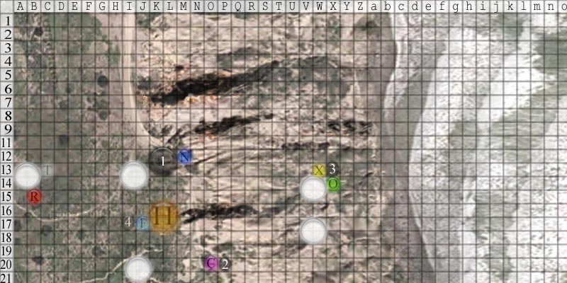 round8.jpg