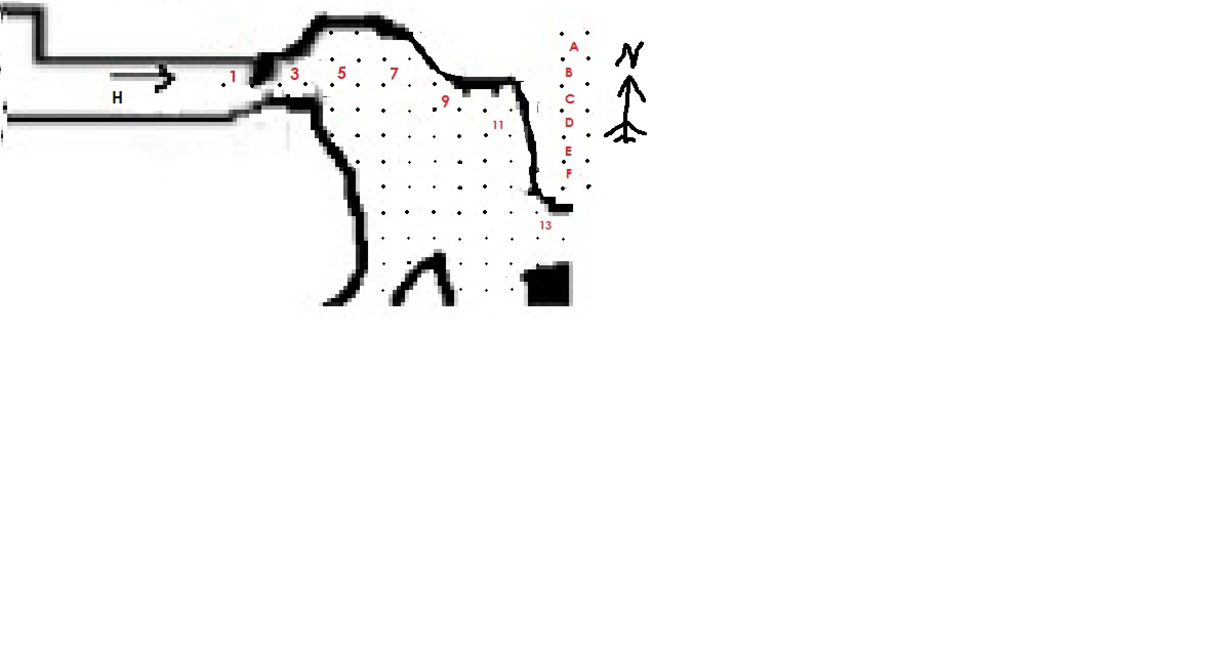ROUS Cave 1.0.jpg