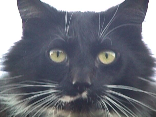 rudder.jpg