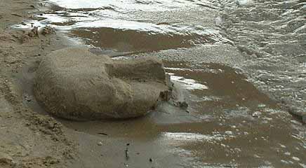 sand%20face%20256.jpg