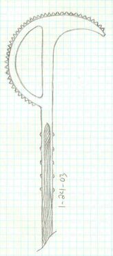 sawtooth01.jpg