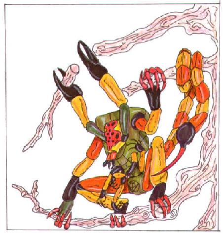 scorpion3.jpg