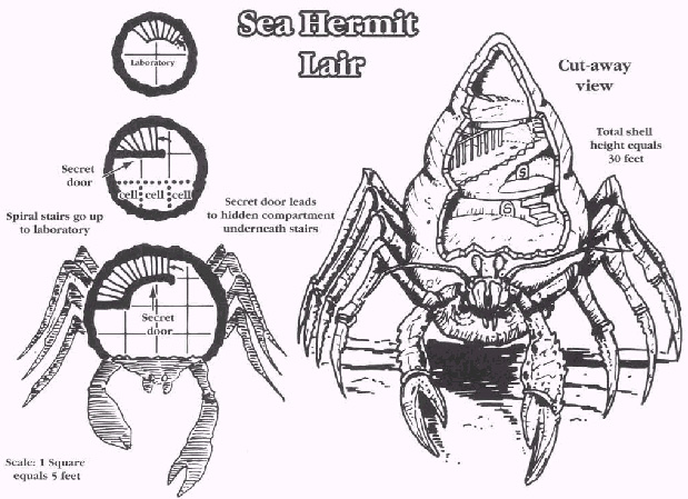 SeaHermitLair.jpg