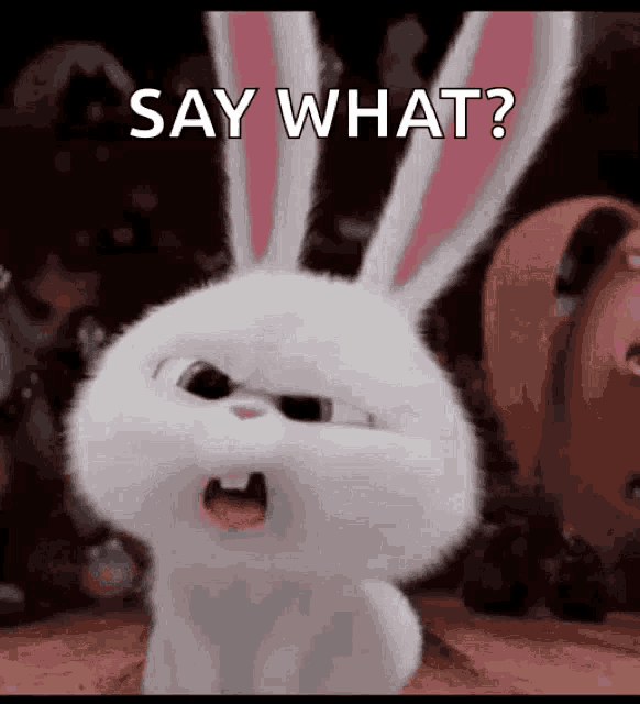 secret-life-of-pets-rabbit[1].gif