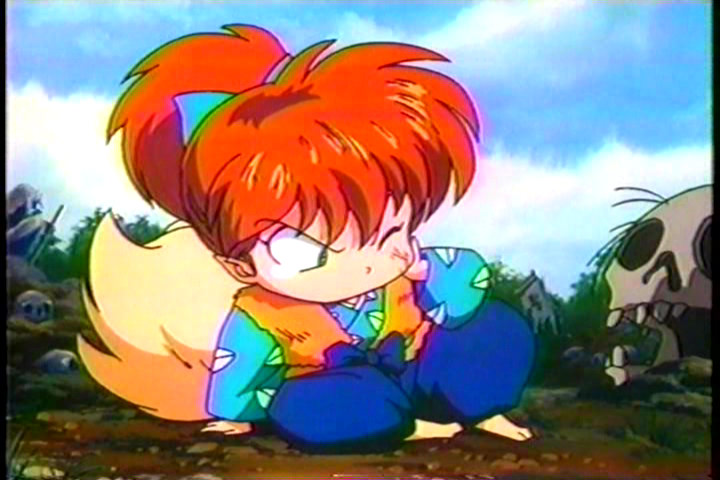 shippo.jpg