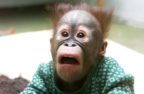 shocked.jpg