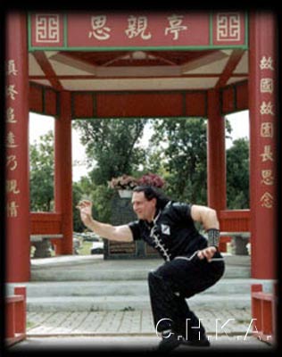 sifu-pose-4.jpg