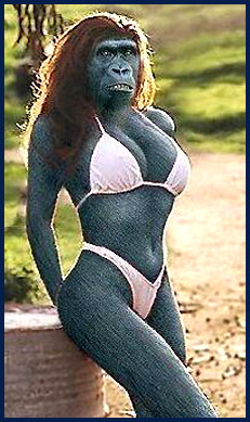 Simian Babe.jpg
