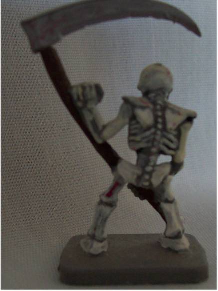 skel1rear.JPG