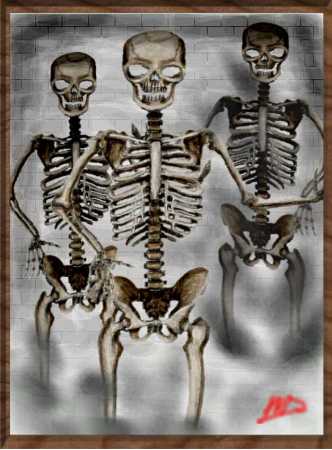 skeletonswhite.jpg