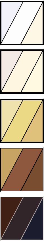 Skin tone shades.png