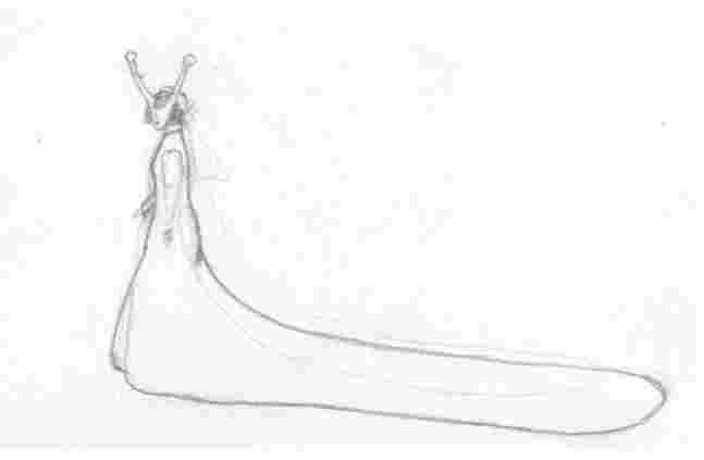 slug bride 1.jpg