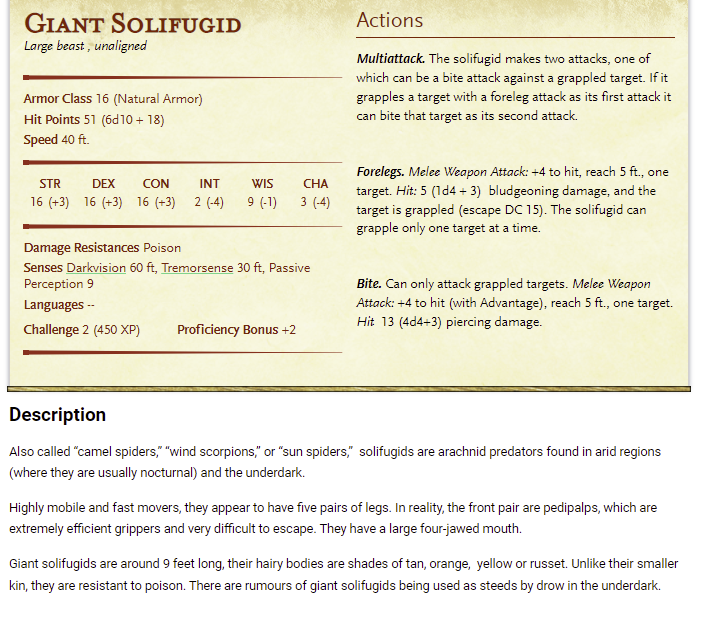 solifugid2.png