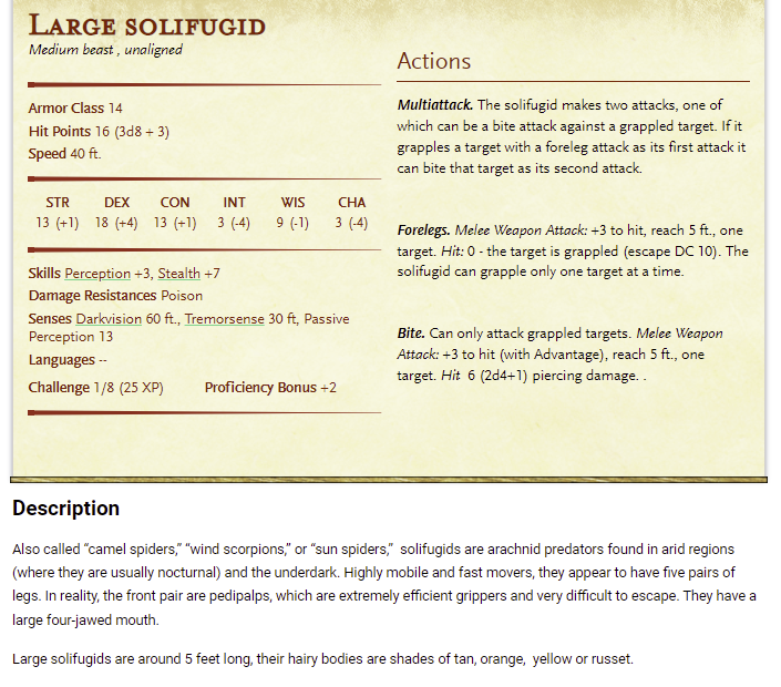 solifugidlarge.png