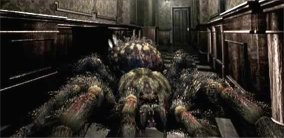 spider.jpg