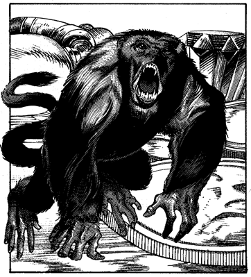 spider monkey.gif