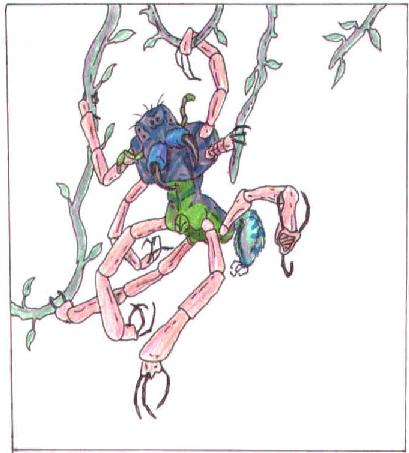 spider2.jpg