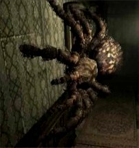 spider2.jpg