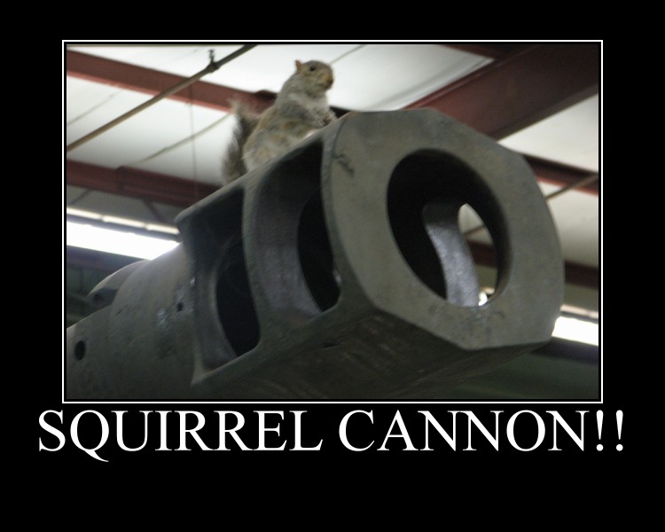 SquirrelCannon.jpg