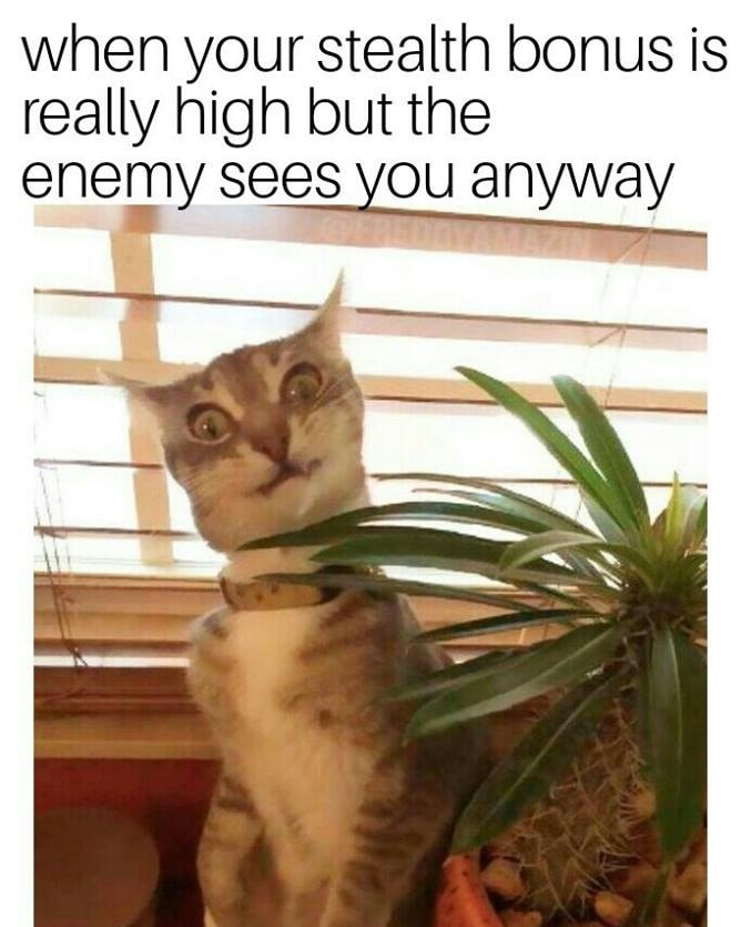 stealth.jpg