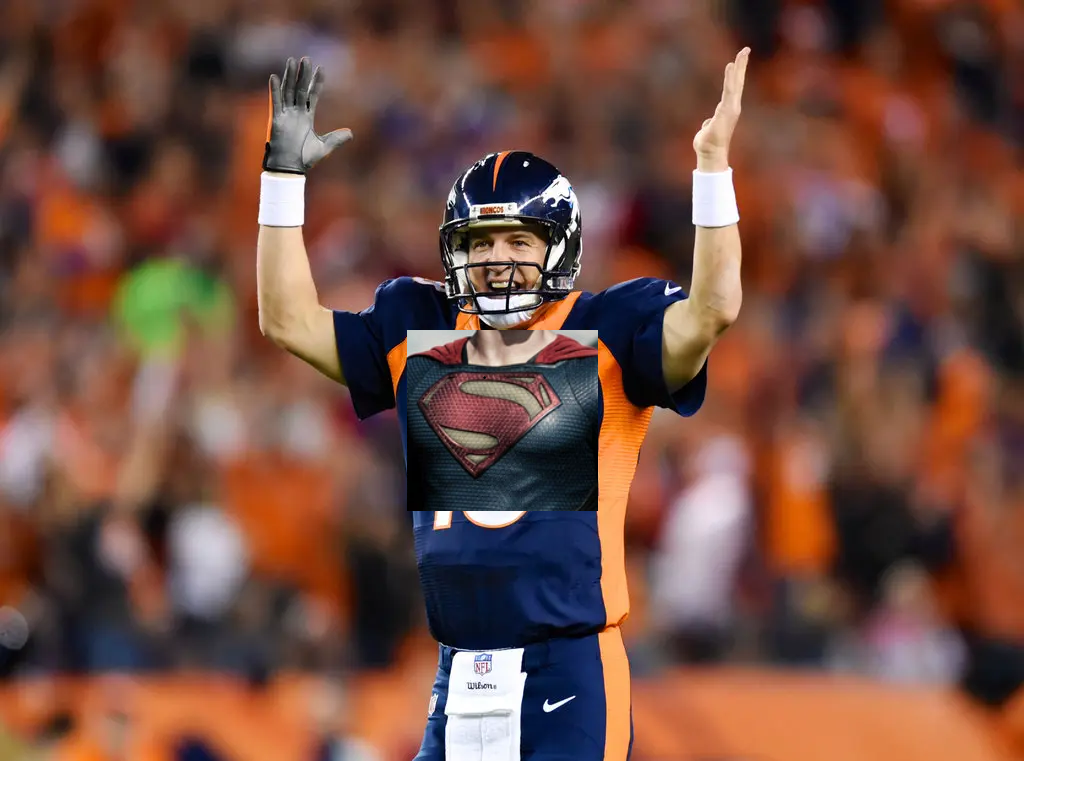 STEELMANNING.png
