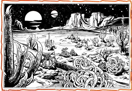 Stony barrens.JPG