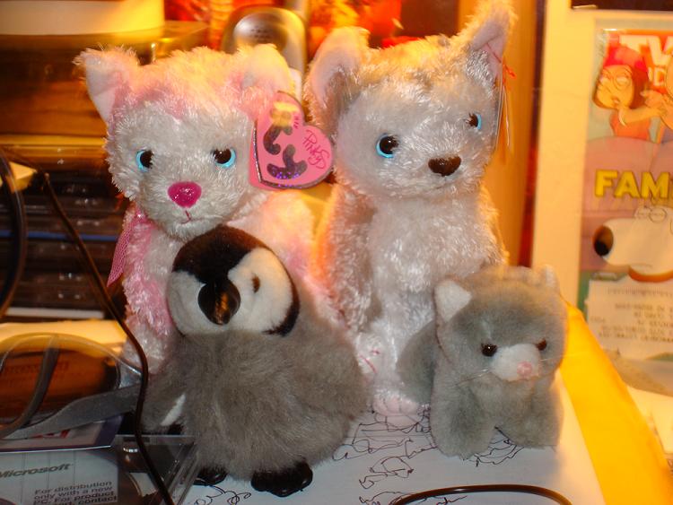 Stuffed Animals.JPG