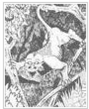 su-monster-794609.jpg
