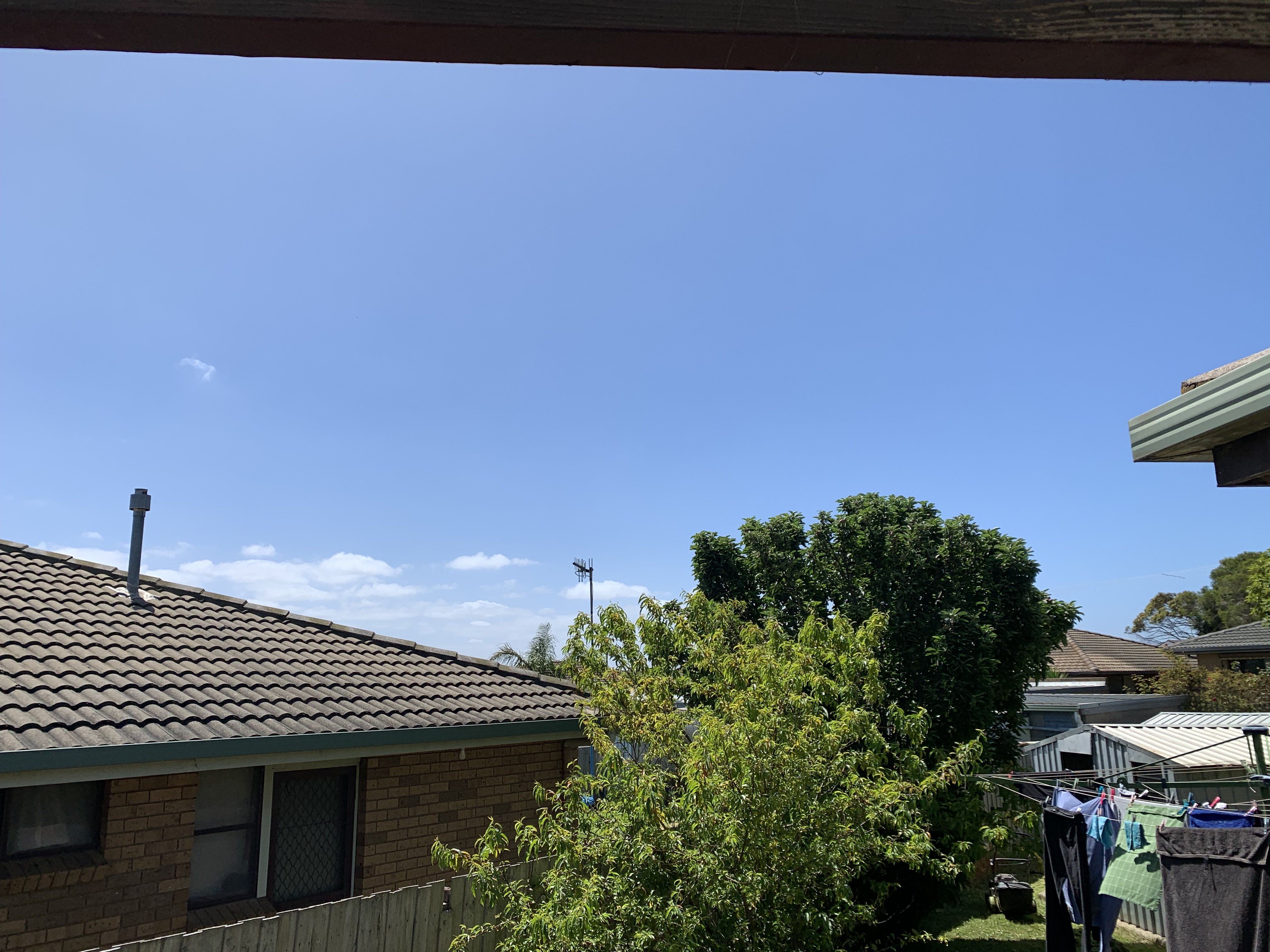 Summer in Au.jpg