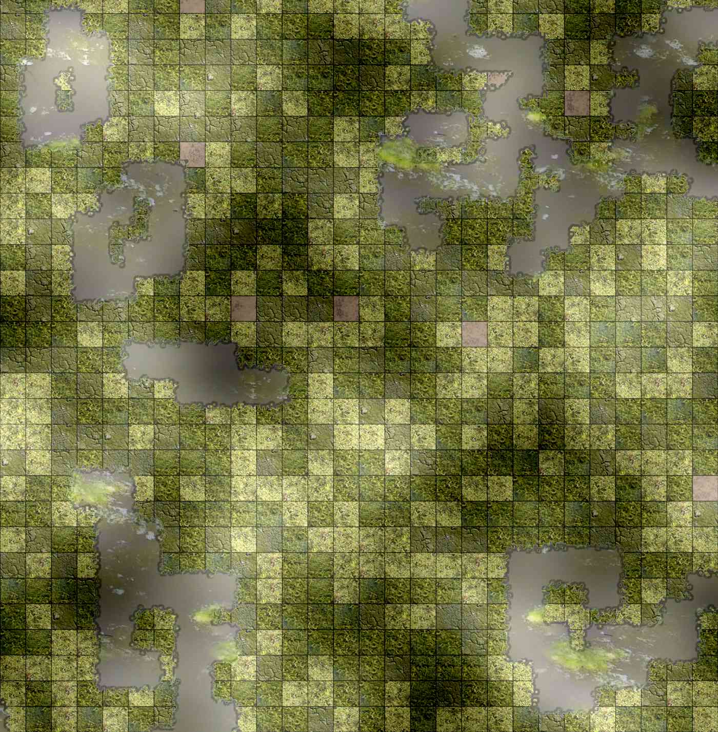 Swamp 22 Puddles.jpg