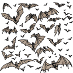 swarm_bat.jpg