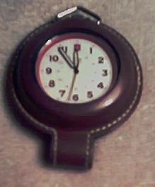 Swiss Army Watch.JPG