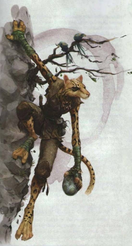 Tabaxi-5e.jpg
