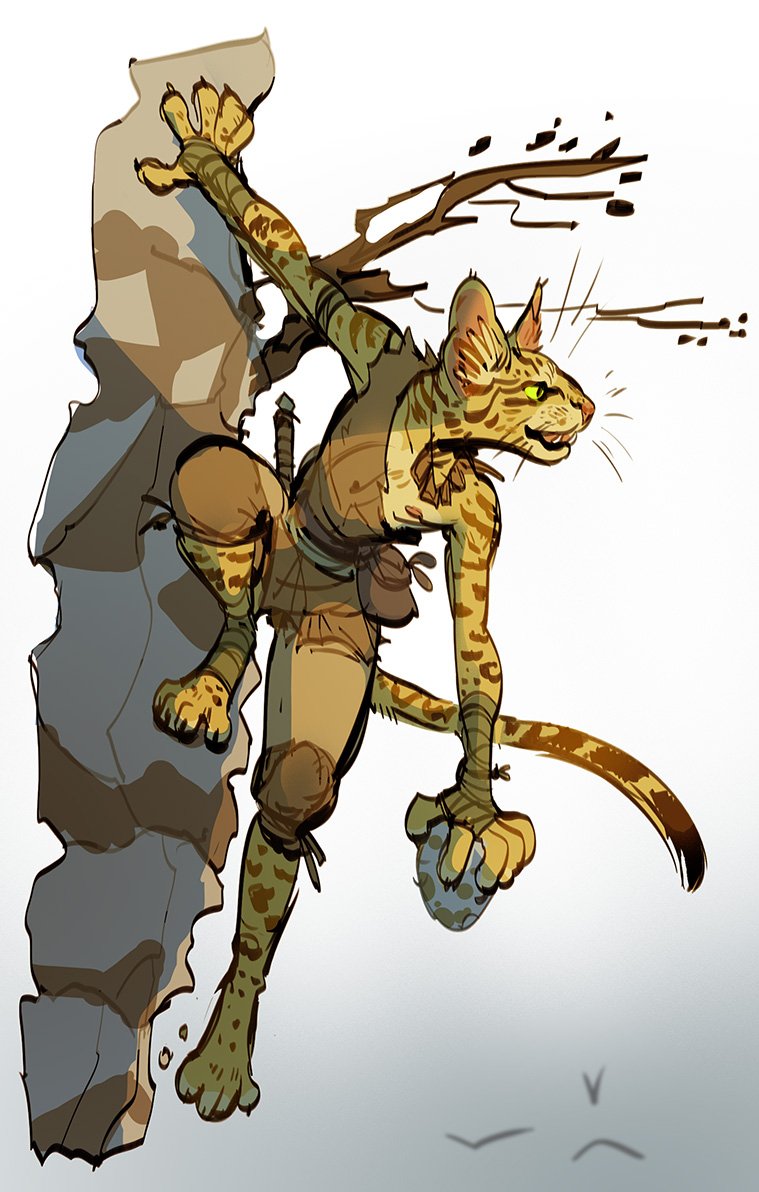 tabaxi.jpg