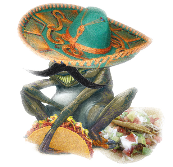 tacoslaad.jpg