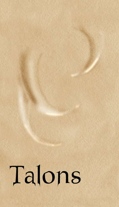 talons2.jpg