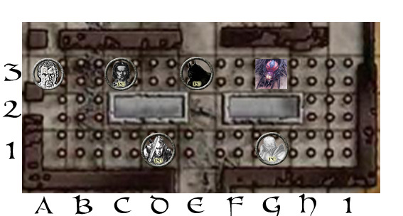 Tarantula!.jpg