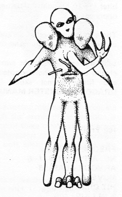 Tirapheg.jpg