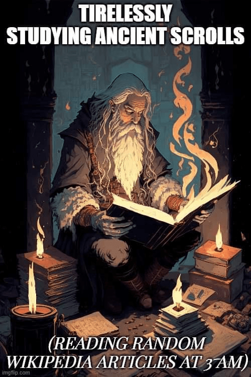 tirelessly-studying-ancient-scrolls-reading-random-wikipedia-articles-at-3-am-imgflipcom.png
