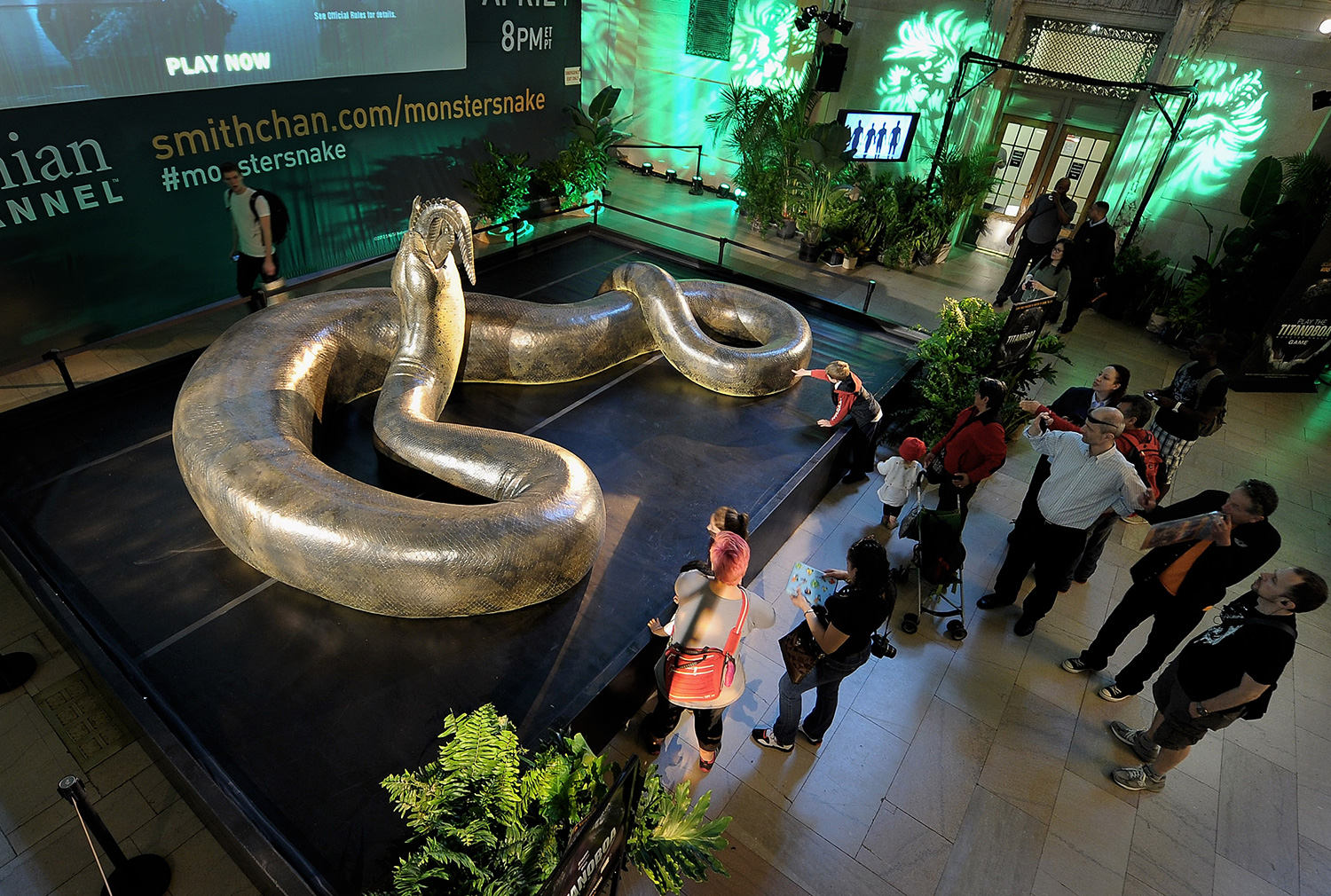 titanoboa-getty.jpg