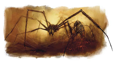 tomb spider.jpg