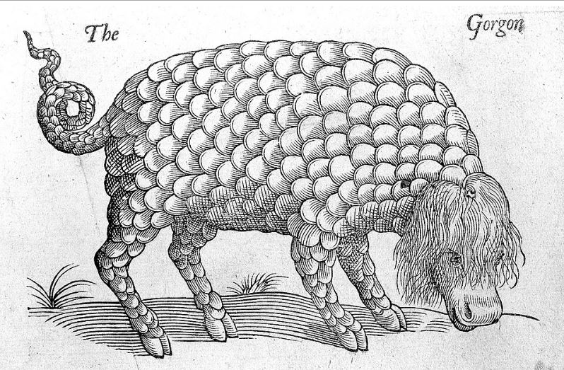 Topsell Gorgon.JPG