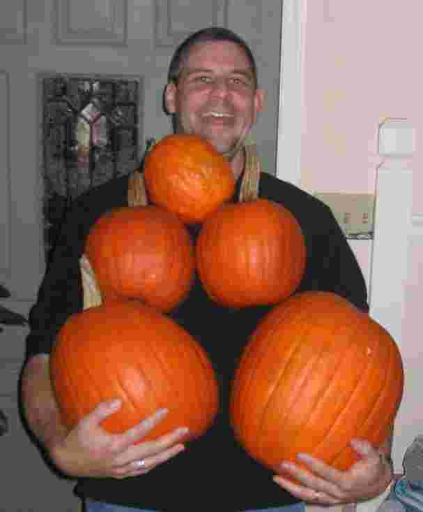 TotinPumpkins.jpg