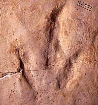 track1.jpg