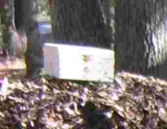 Treasure Chest.jpg