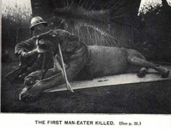 tsavo-man-eaters-lions.9416.large_slideshow.jpg